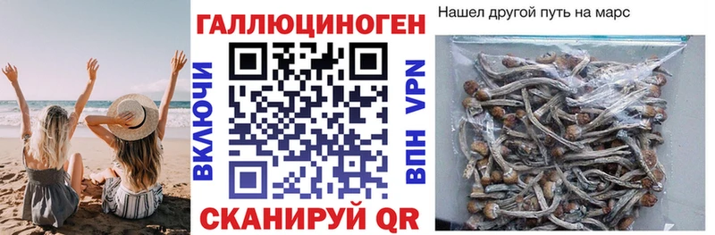 Псилоцибиновые грибы мицелий  Льгов 